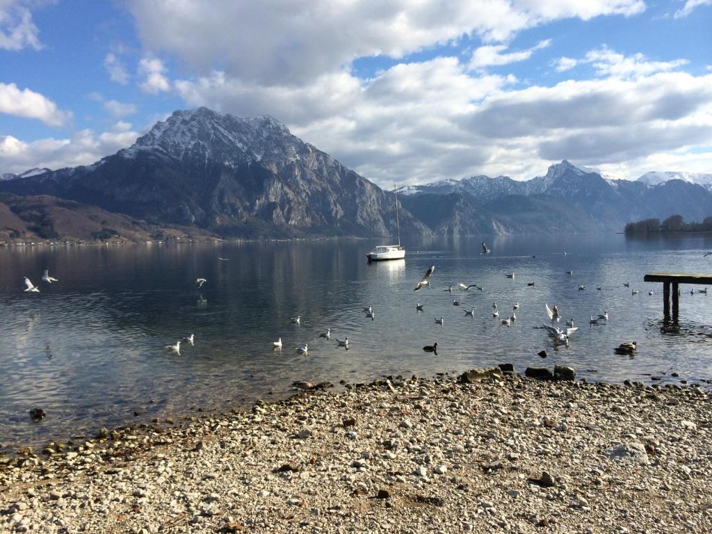 Apartment Parkvilla Traunsee Альтмюнстер Экстерьер фото
